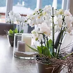 Lust Und Laune Am Wörthersee Hotel