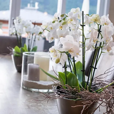 Lust Und Laune Am Worthersee Hotel