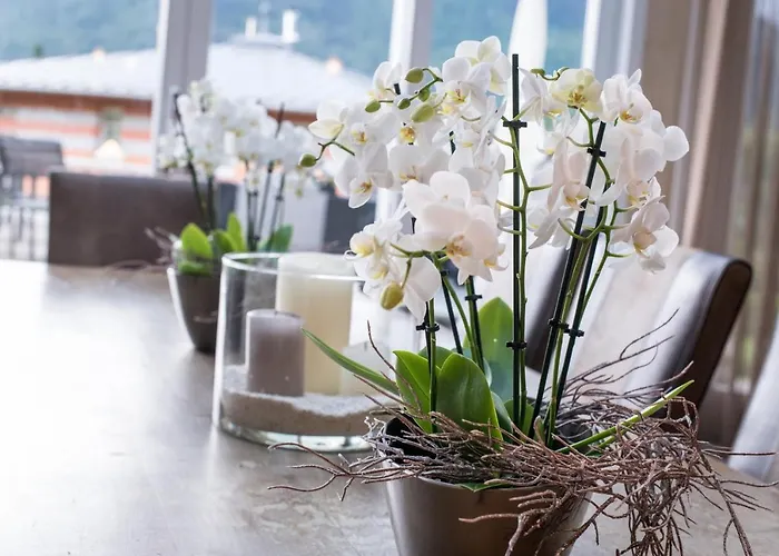 Lust Und Laune Am Woerthersee Hotell